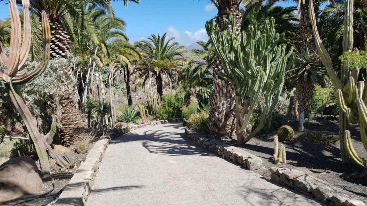 Villa De Cactualdea San Nicolás المظهر الخارجي الصورة