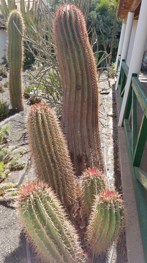 Villa De Cactualdea San Nicolás المظهر الخارجي الصورة
